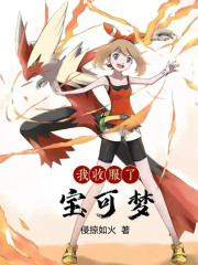 我收服了宝可梦漫画封面图片